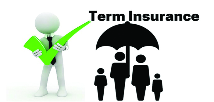 Term Insurance - Rmoney Insurance