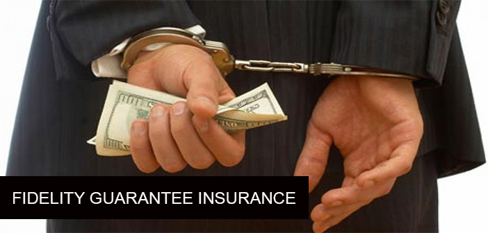 Fidelity Guarantee Insurance
